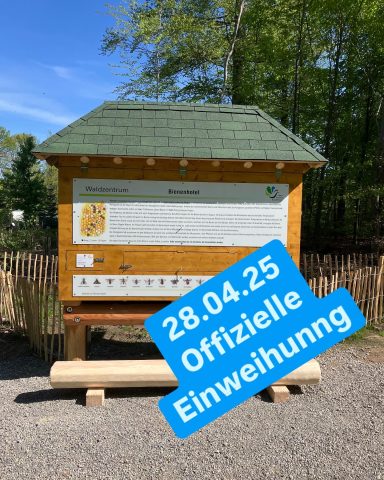 Offizieller Startschuss